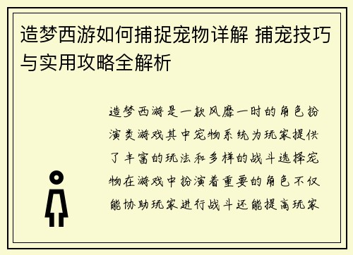 造梦西游如何捕捉宠物详解 捕宠技巧与实用攻略全解析